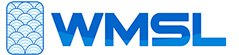 Wealth Management System Limited logo
