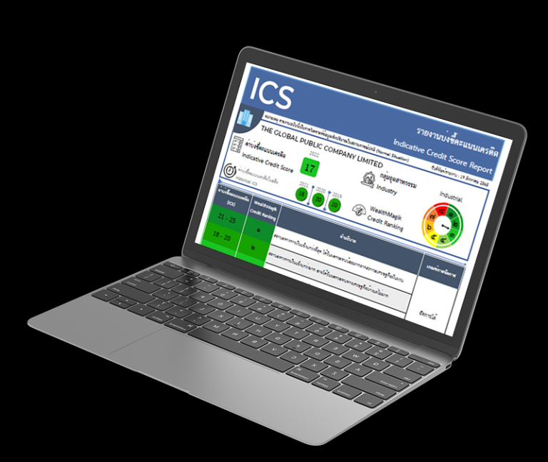 Ics Asset Inventory ICS - Wealth Management System Limited